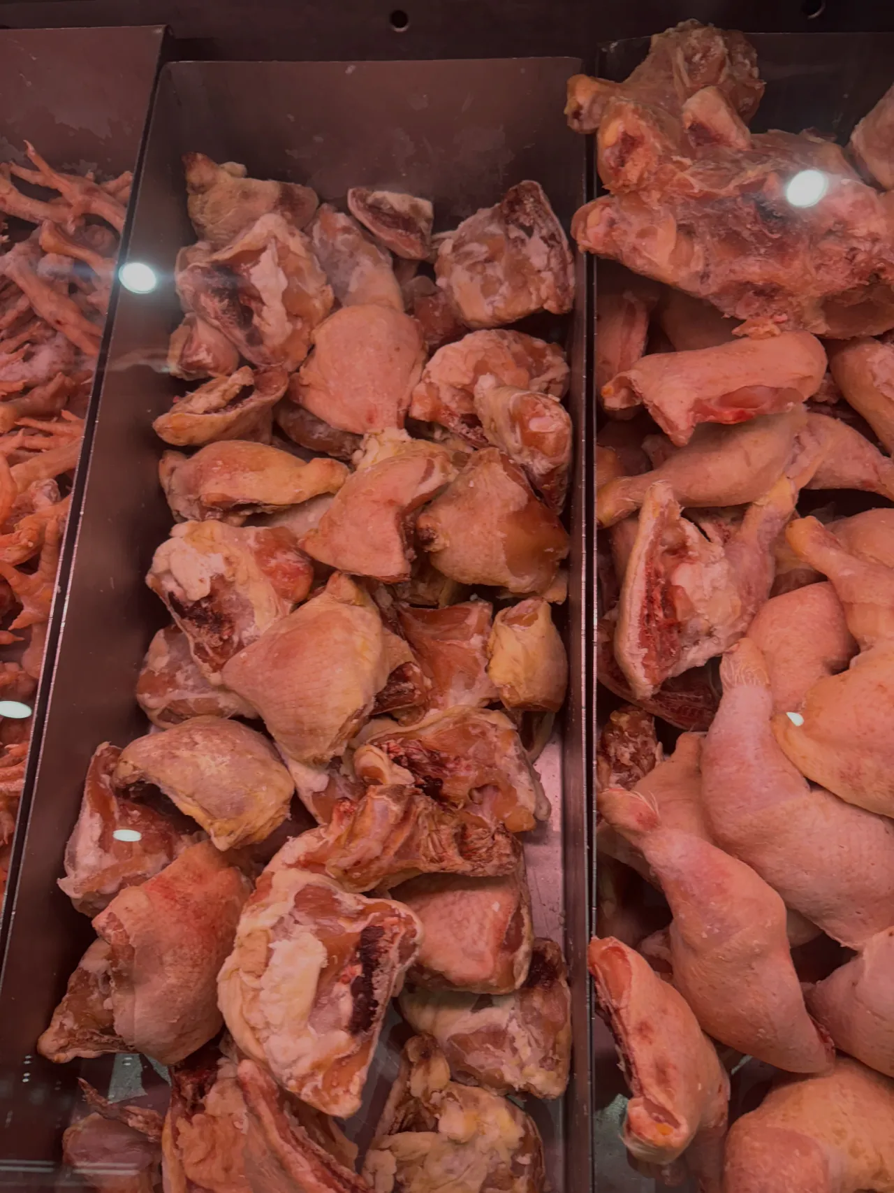 Halal Chicken Gizzard